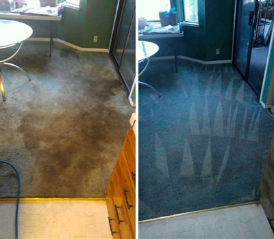 Carpet Cleaning before after