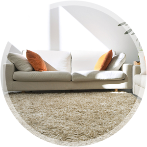 Carpet Cleaning
