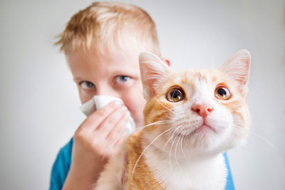 Pet Urine & Odor Removal